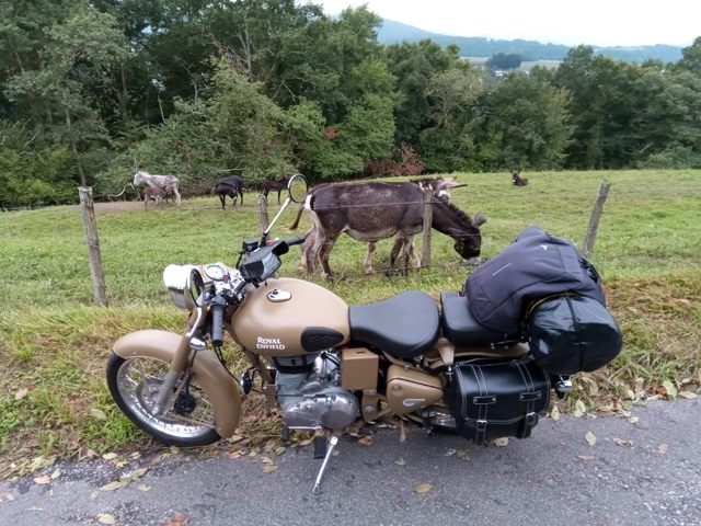 
des ânes et quelques chevaux...dans le guidon (moto road trip) - l'autre ailleurs, une autre idée du voyage
